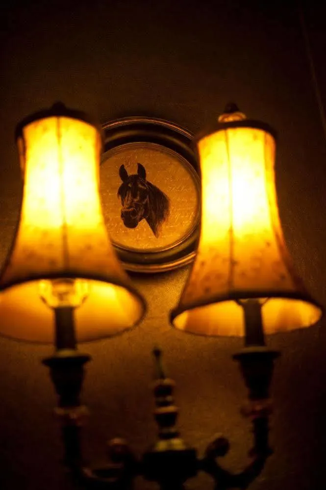 Bed & Breakfast The Plough Inn York
